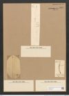 Hantzschia elongata Grun. (de-Toni-Nr.: Genus 50, Species 2206) Zeichnungen Sammlung Grunow Nr. 4611 (NHMW-BOT-W0372652)